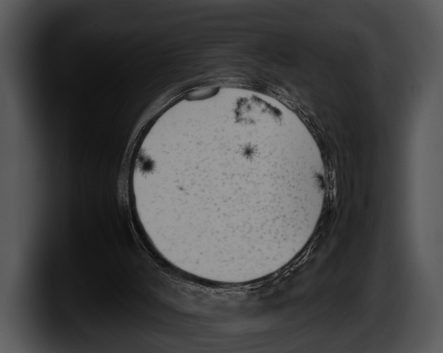 X0000100190004200806201304