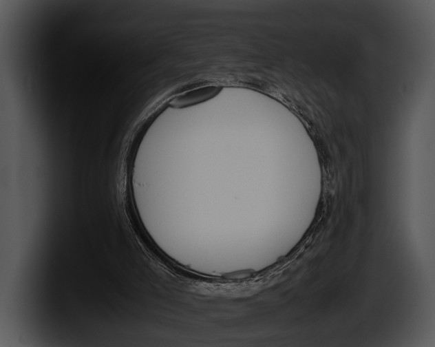 X0000100190005200806201304