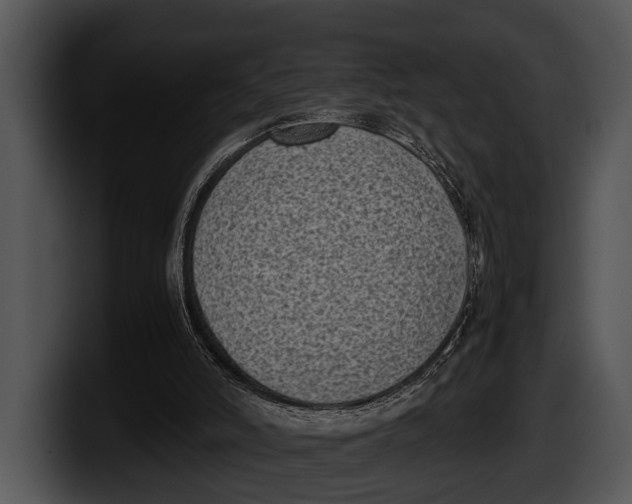 X0000100190006200806201304