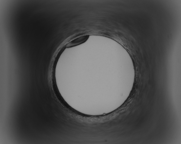 X0000100190007200806201304