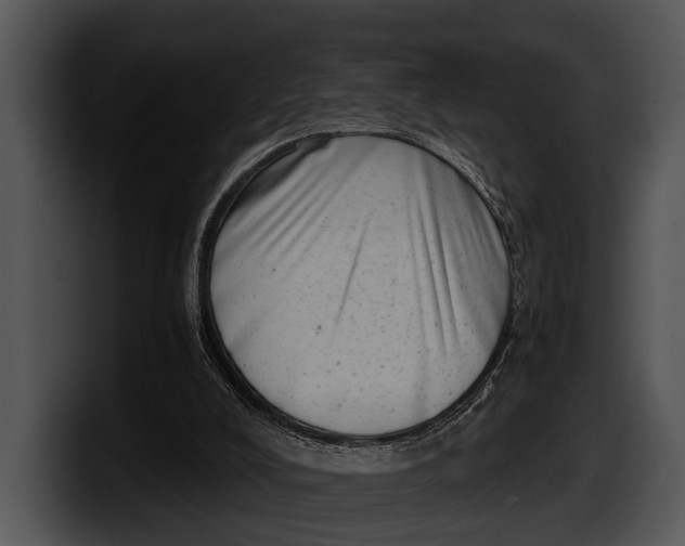 X0000100190008200806201304