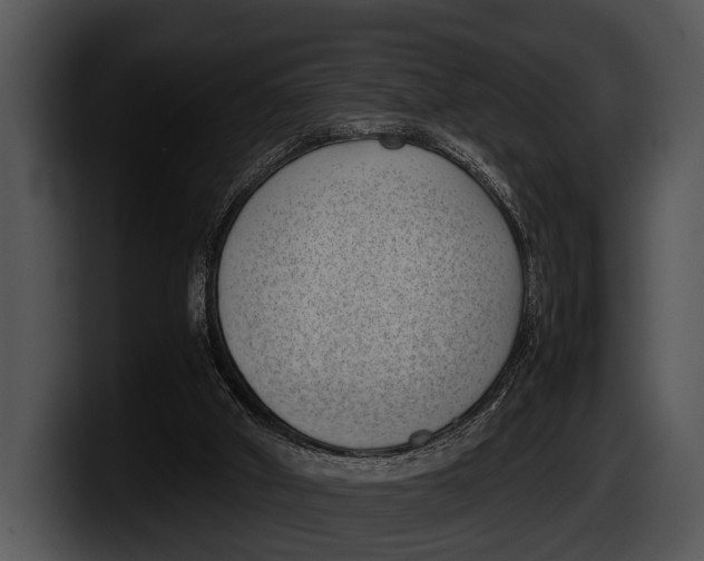 X0000100190010200806201304