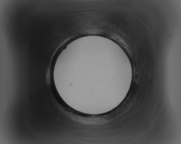X0000100190012200806201304