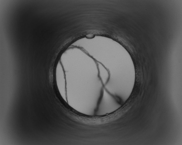 X0000100190015200806201304