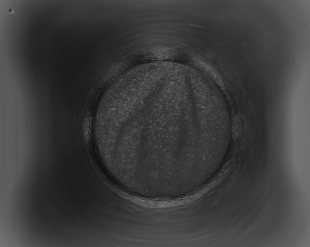 X0000100190018200806201304