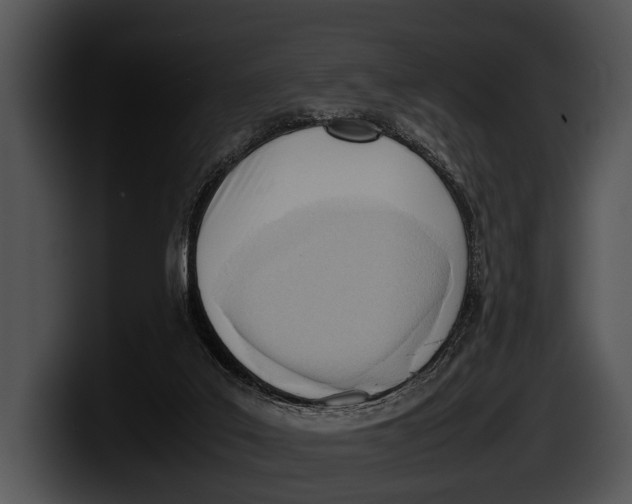 X0000100190019200806201304