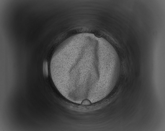 X0000100190022200806201304