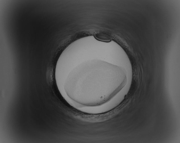 X0000100190023200806201303