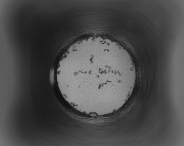 X0000100190024200806201303