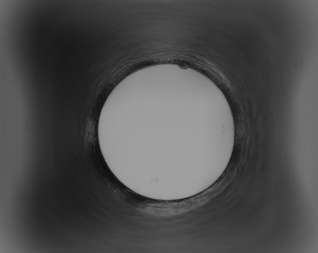 X0000100190025200806201303