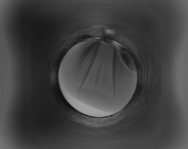 X0000100190035200806201303