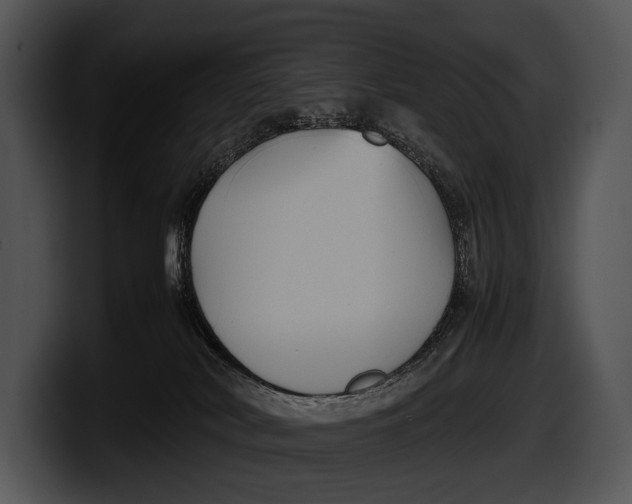 X0000100190038200806201303