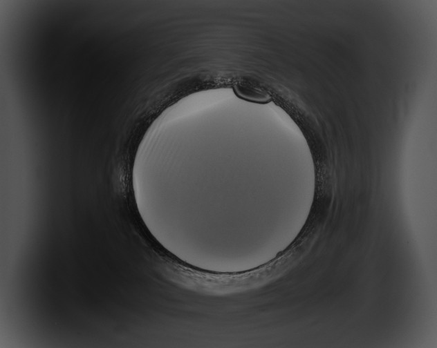 X0000100190039200806201303