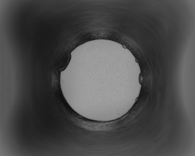 X0000100190040200806201303