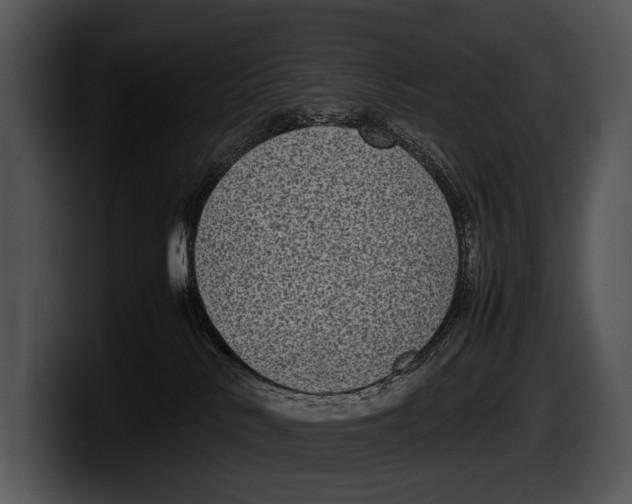 X0000100190042200806201303