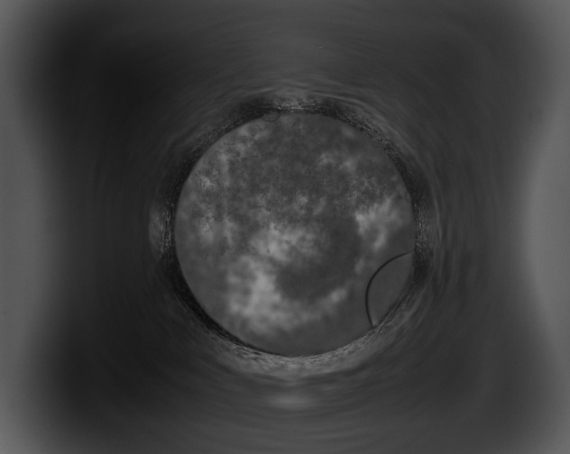 X0000100190043200806201303