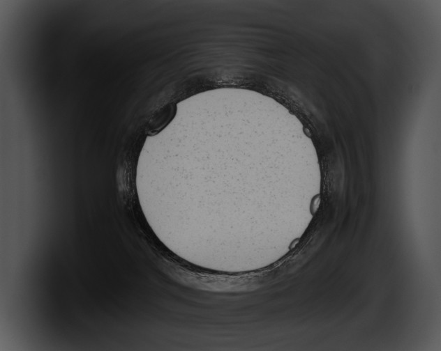 X0000100190044200806201303