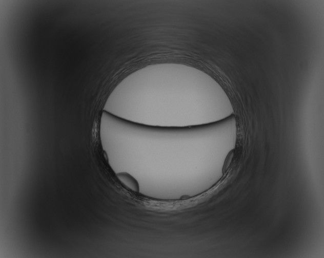 X0000100190045200806201303