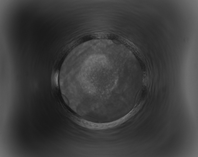 X0000100190047200806201303