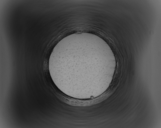 X0000100190048200806201303
