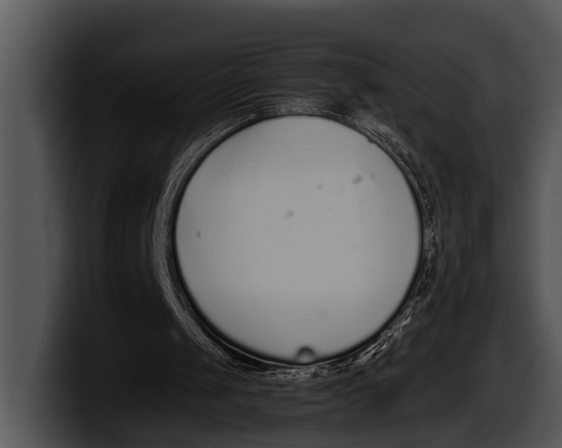 X0000100190049200806201303