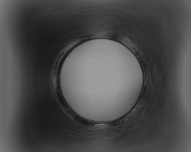 X0000100190050200806201303