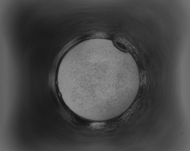X0000100190051200806201303