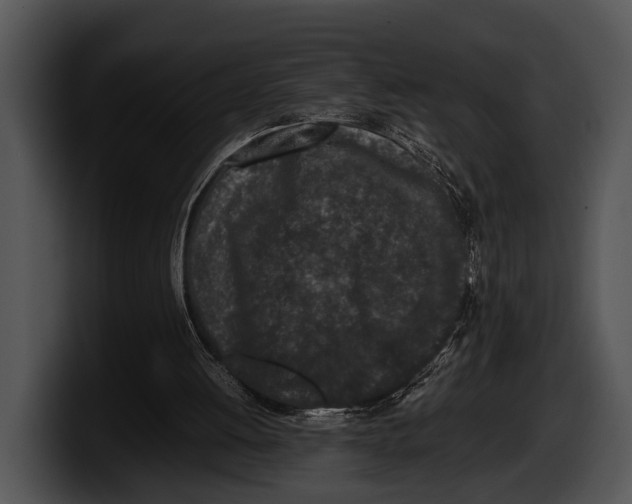 X0000100190052200806201303