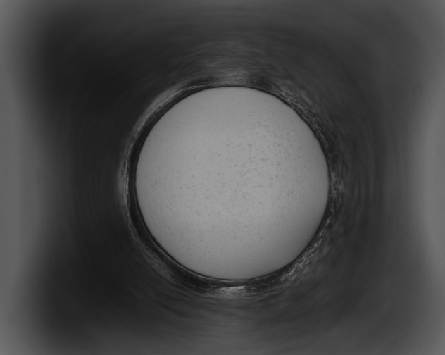 X0000100190054200806201303