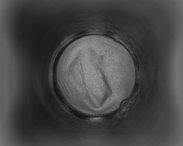X0000100190055200806201303