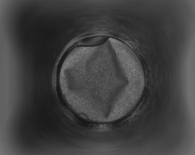 X0000100190056200806201303