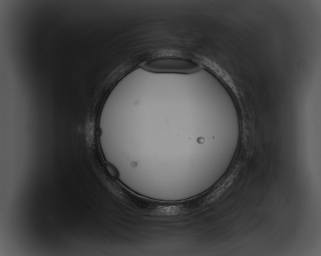 X0000100190057200806201303