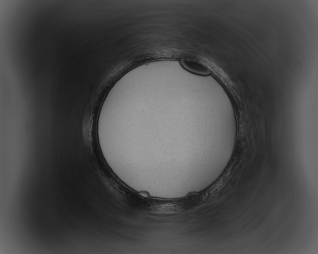 X0000100190058200806201303