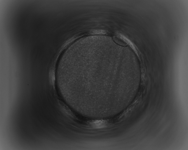 X0000100190059200806201303