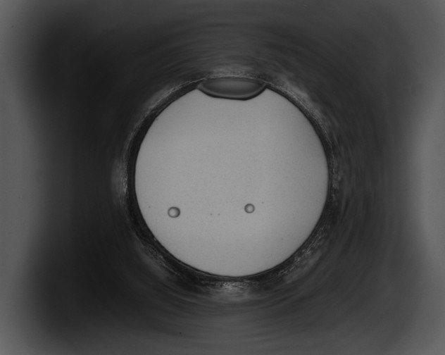 X0000100190060200806201303