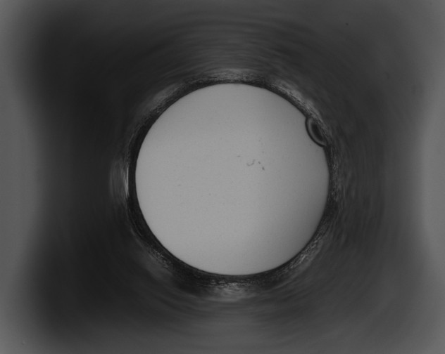 X0000100190062200806201303
