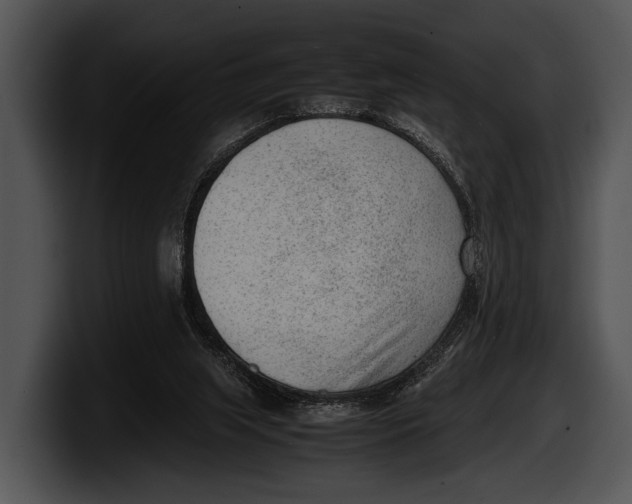 X0000100190063200806201303