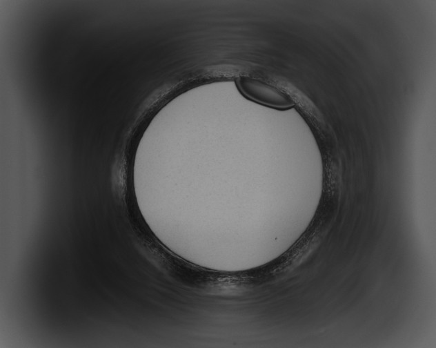 X0000100190064200806201303