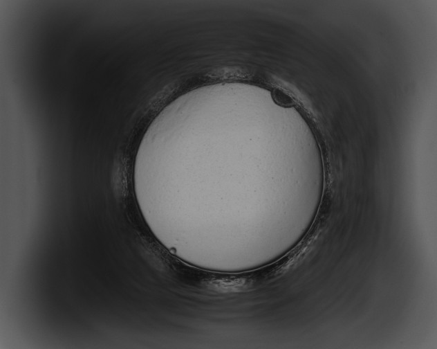 X0000100190065200806201303