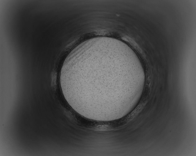 X0000100190066200806201303