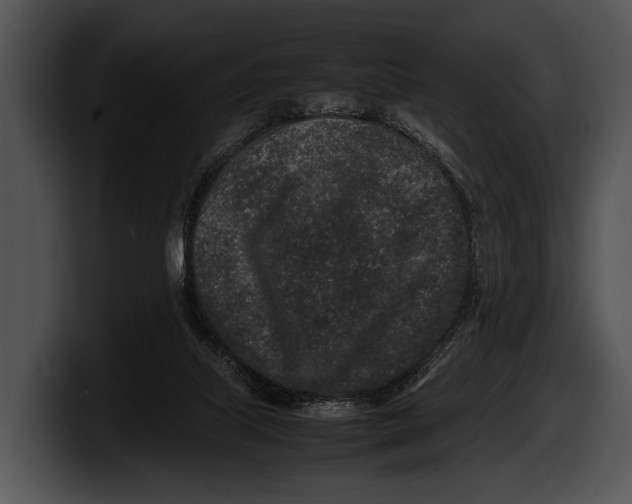 X0000100190067200806201303