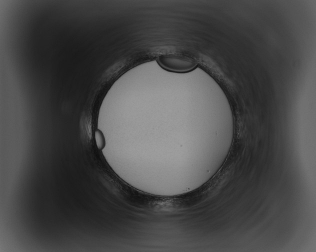 X0000100190068200806201303