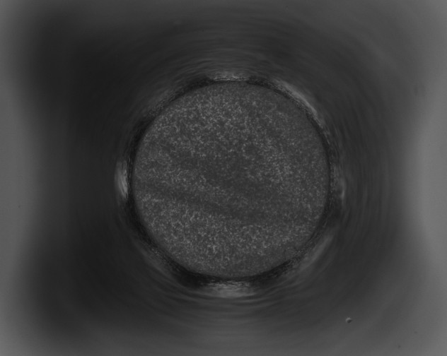 X0000100190069200806201303