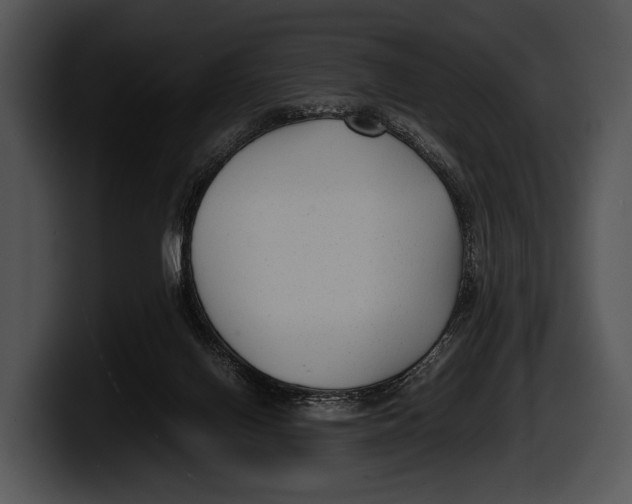 X0000100190070200806201303