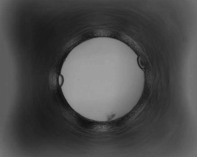 X0000100190071200806201303