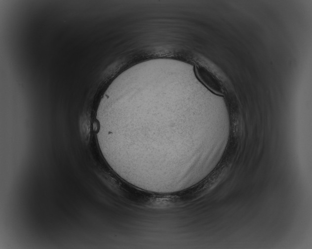 X0000100190072200806201303