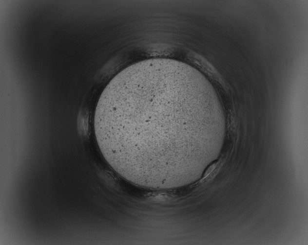 X0000100190074200806201303