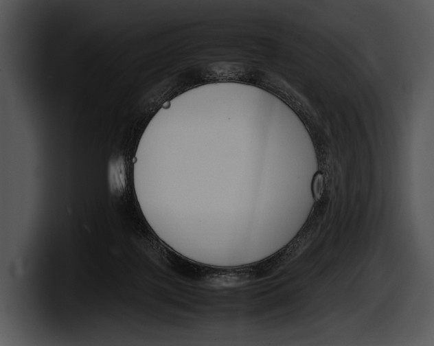 X0000100190075200806201303