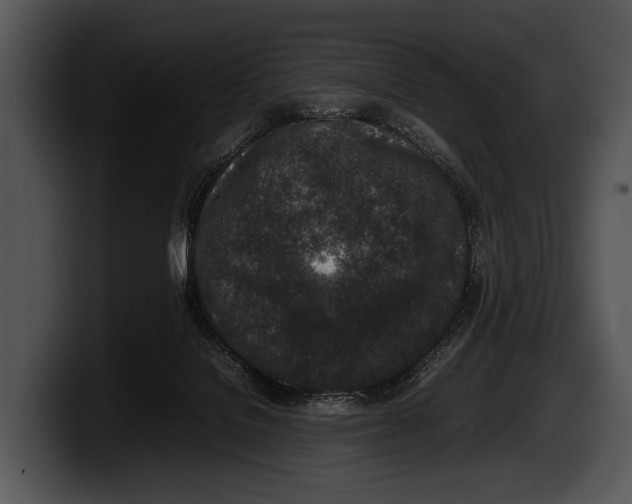 X0000100190076200806201303