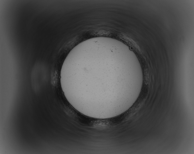 X0000100190077200806201303